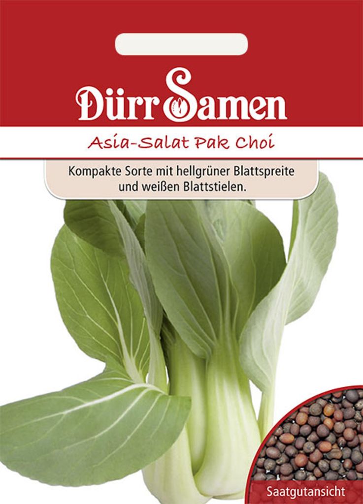 Dürr-Samen - Asia-Salat Pak Choi - Saatgut - 1804