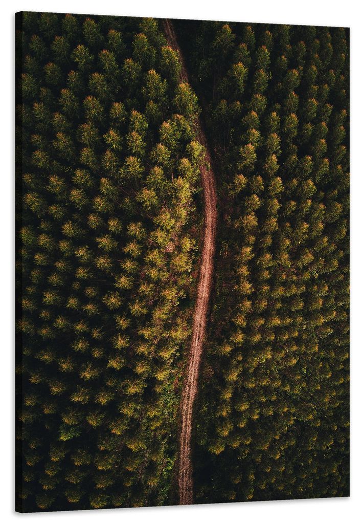 Leinwanddruck „Naturstraße aus der Vogelperspektive“, 60x90