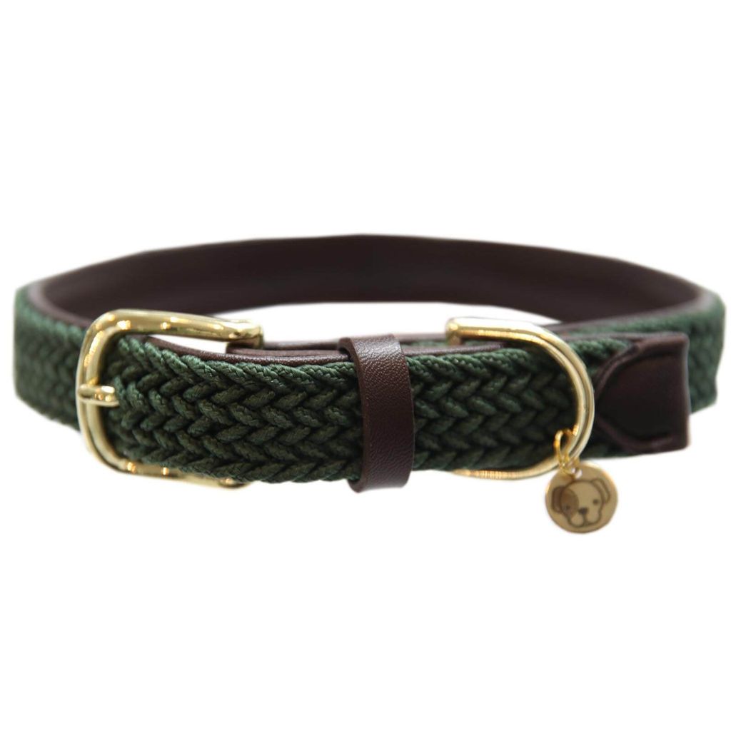 Kentucky Dogwear Hundehalsband geflochten Nylon