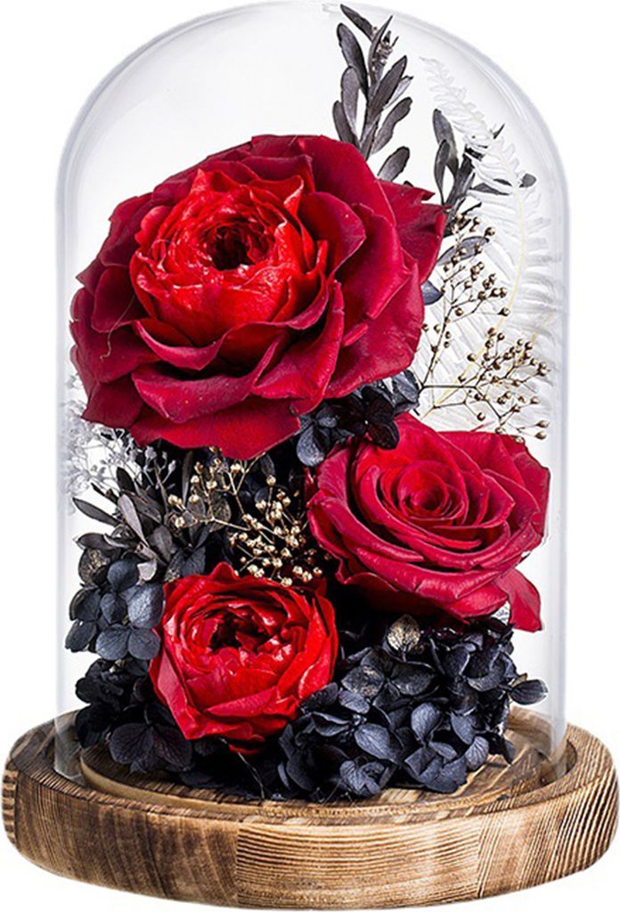 Glasabdeckung für ewige Rosenblüten mit LED-Licht, Holzsockel, konservierte Rosenblüte, echte Unendlichkeitsglaskuppel, Geschenk für Ehefrau, F...