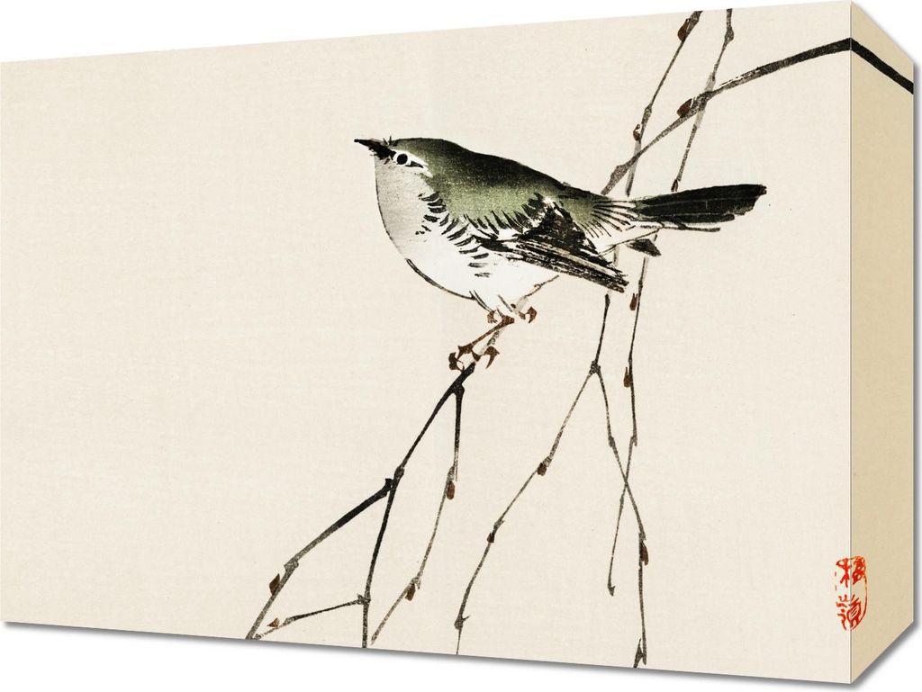 Bild 40x30cm Tit, Kōno Bairei Japanisches Vintage für das Wohnzimmer
