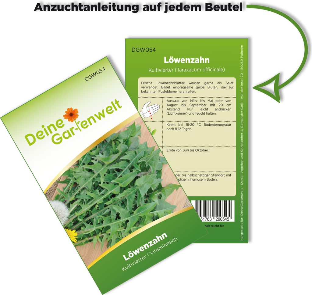 Löwenzahn Kultivierter Samen - Taraxacum officinale - Produktbild 3