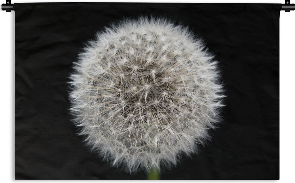 MuchoWow Wandteppich Wandbehang Foto des Kopfes einer Pusteblume 150x100 cm Tapisserie Dekoration Wandtuch - Waschbar - Tapisserien - Wand-Decke
