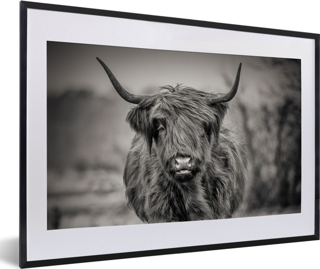 MuchoWow® Gerahmtes Poster Schottischer Highlander - Produktbild 