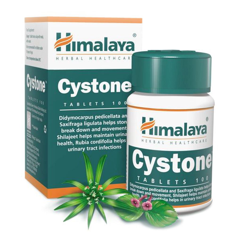 Himalaya Cystone 2x 100 Tab Unterstützung Entgiftung des Körpers Harnwege Nieren 