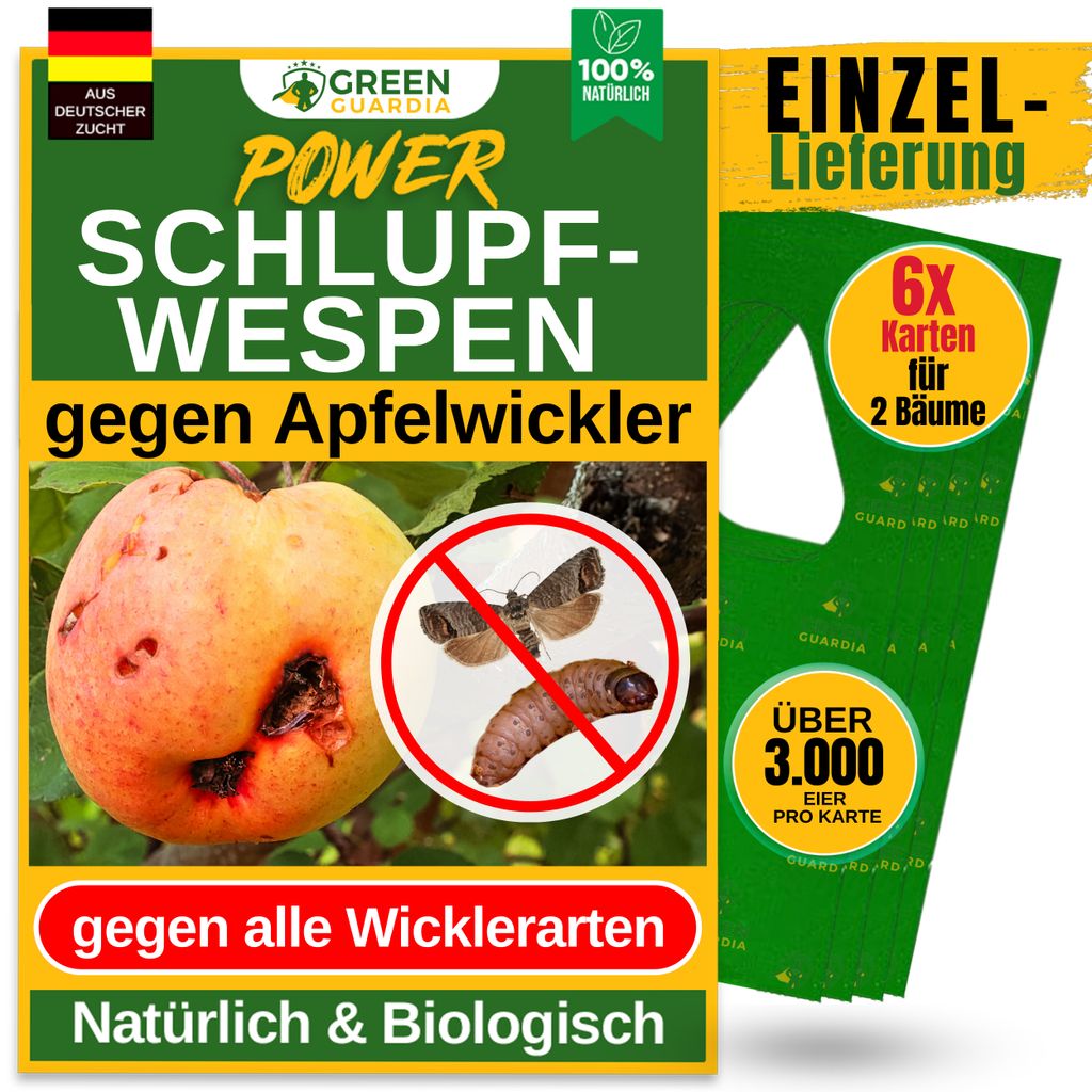 Green Guardia Schlupfwespen gegen Apfelwickler -6x Karten 1x Lieferung- Biologisches Mittel gegen Apfelwickler, Chemiefrei Apfelwickler bekämpfen