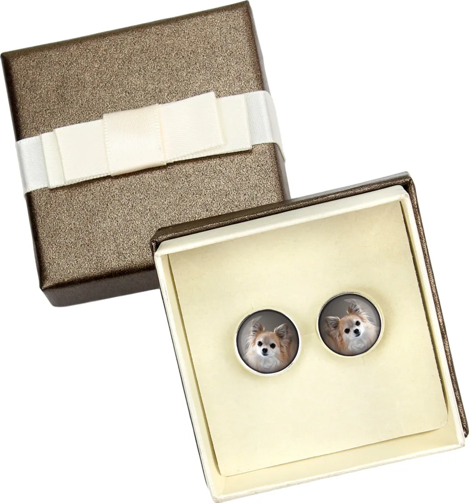 Chihuahua a pelo lungo - Gemelli in scatola, gioielli realizzati a mano, prodotto del marchio Art-Dog.