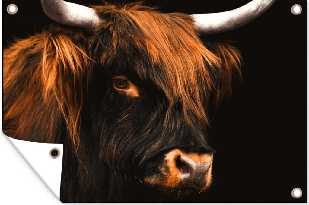 MuchoWow 60x40 cm Outdoor-Poster Gartendeko Sichtschutz Garten Poster für den Garten Schottischer Highlander - Schwarz - Kuh - Horn - Tiere