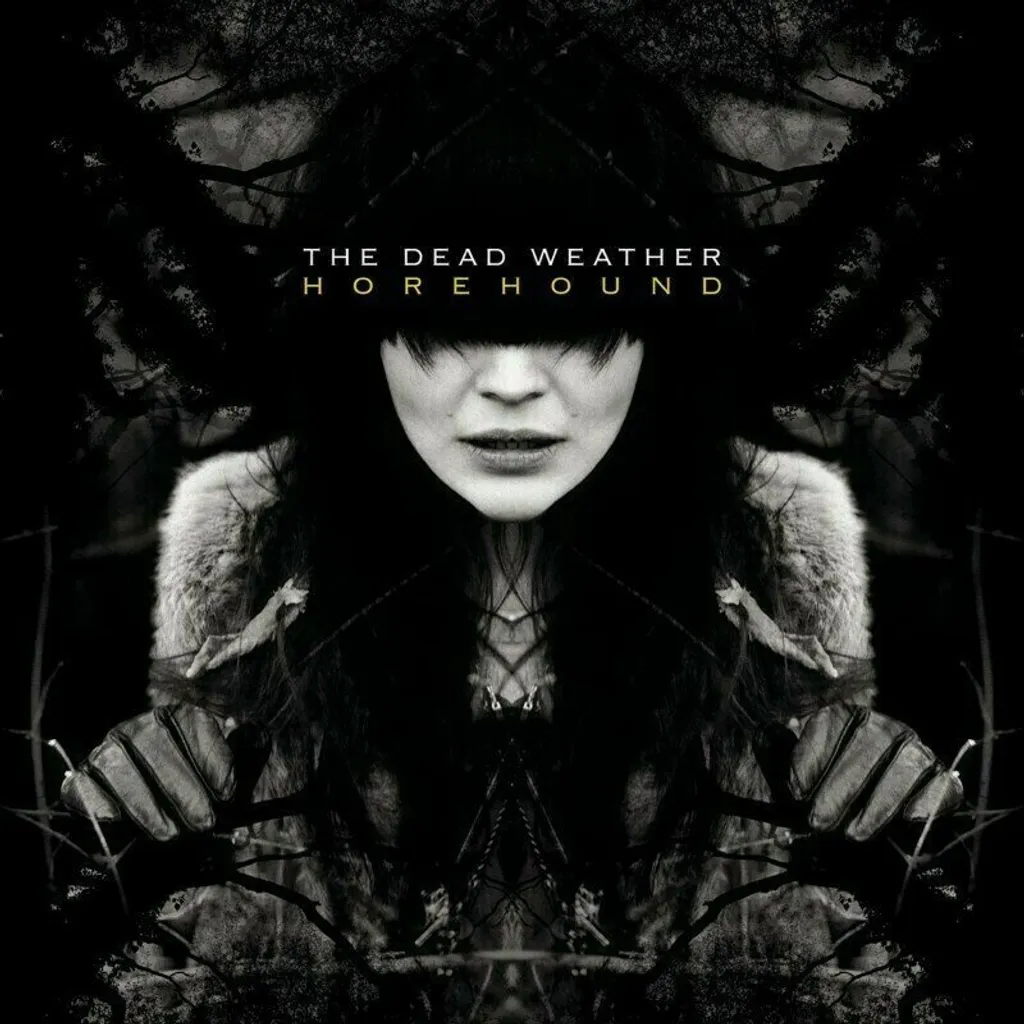 Horehound The Dead Weather Double LP 2 Vinyles 180g Réédition Audio