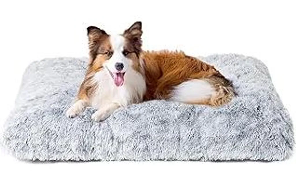 Letto Cane Taglia Media EHEYCIGA 90x60 | Tappetino Grigio Lavabile