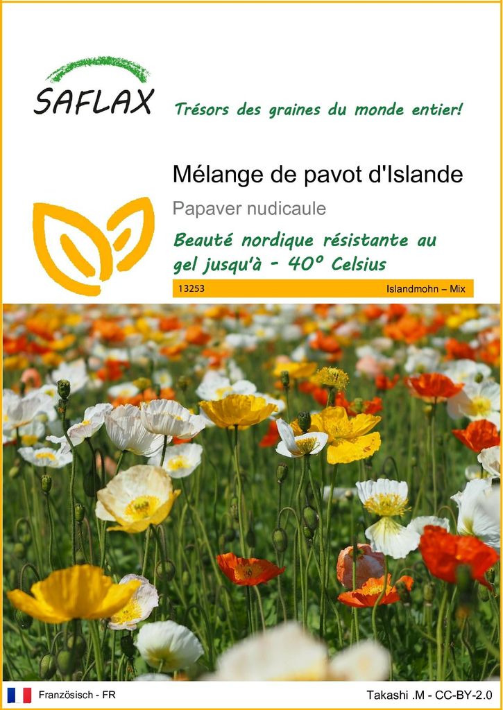 SAFLAX  - Mélange de pavot d'Islande - 8000 graines - Image du produit 