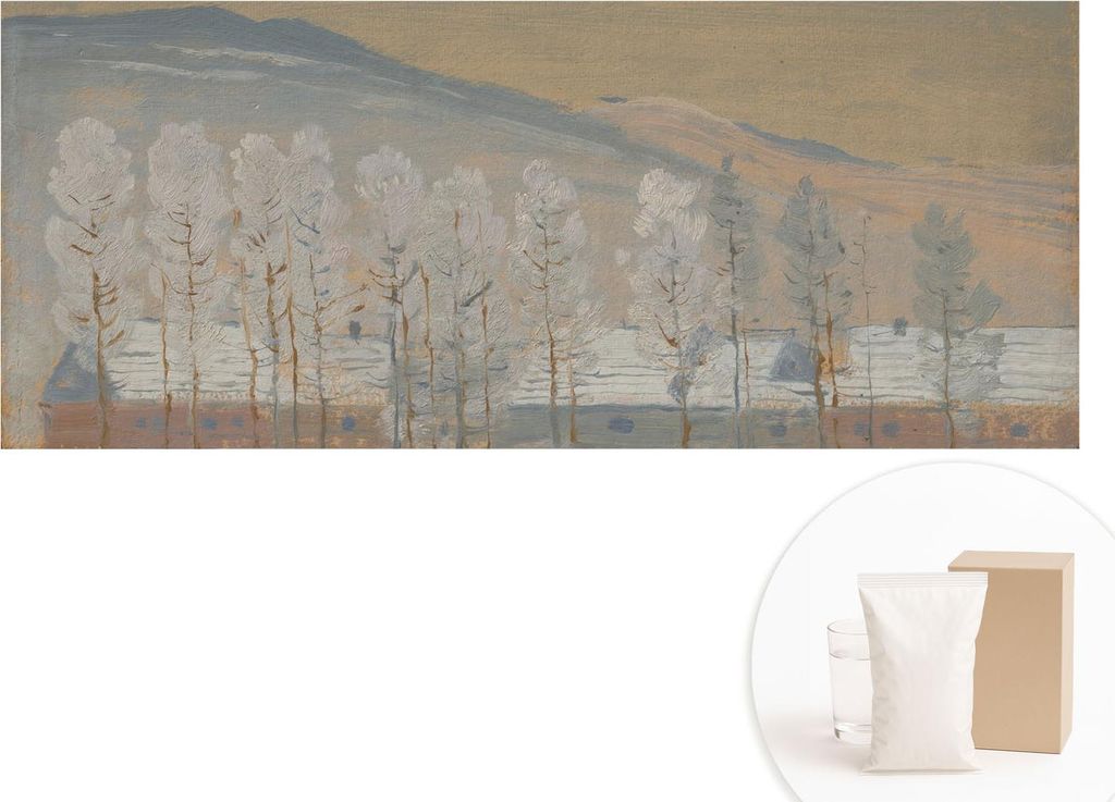 Fototapete - Wandbilder für Wohnzimmer - 208x146 cm - Dekorative Wandfolie - Modernes Design für Wanddekoration - Tapeten für Innenräume - Wint...