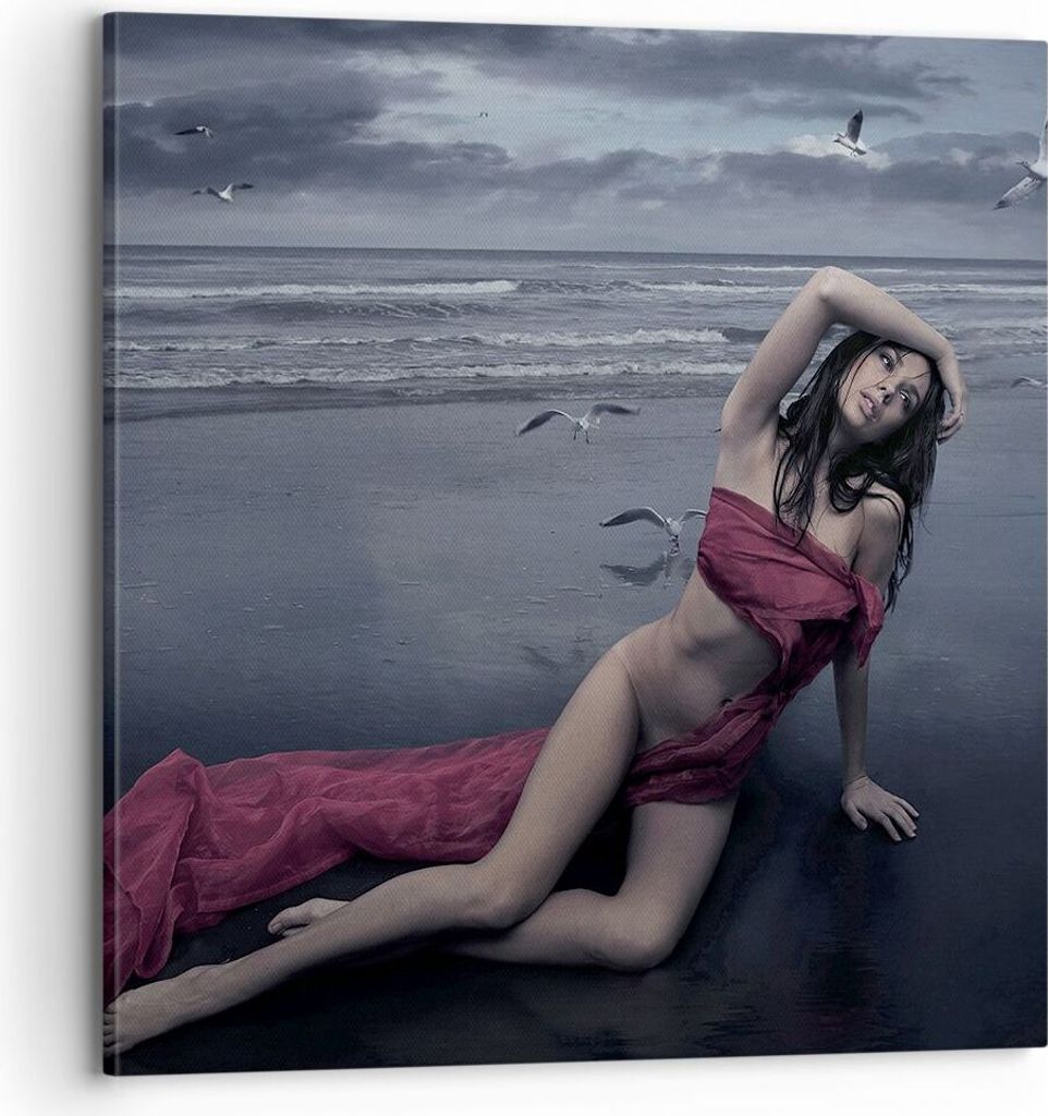 Bild auf Leinwand - Leinwandbild - Modell Möwe Vogel Natur - 70x70cm - Wand Bild - Wanddeko - Leinwanddruck - Bilder - Kunstdruck - Wanddekoration...