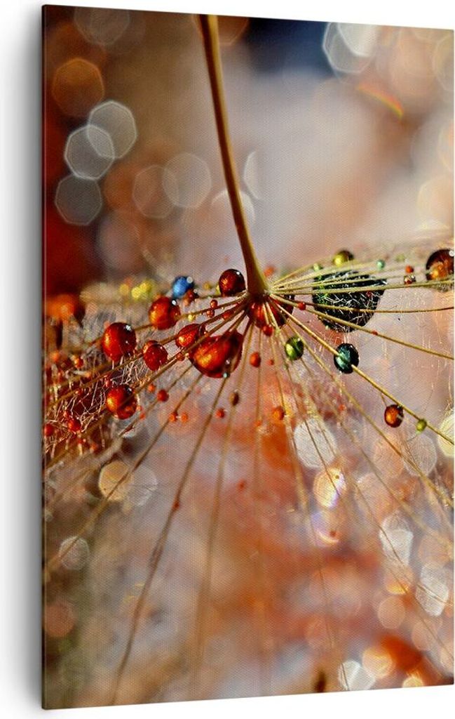 Bild auf Leinwand - Leinwandbild - Einteilig - Spinnennetz modern - 80x120cm - Wand Bild - Wanddeko - Wandbilder - Leinwanddruck - Wanddekoration -...