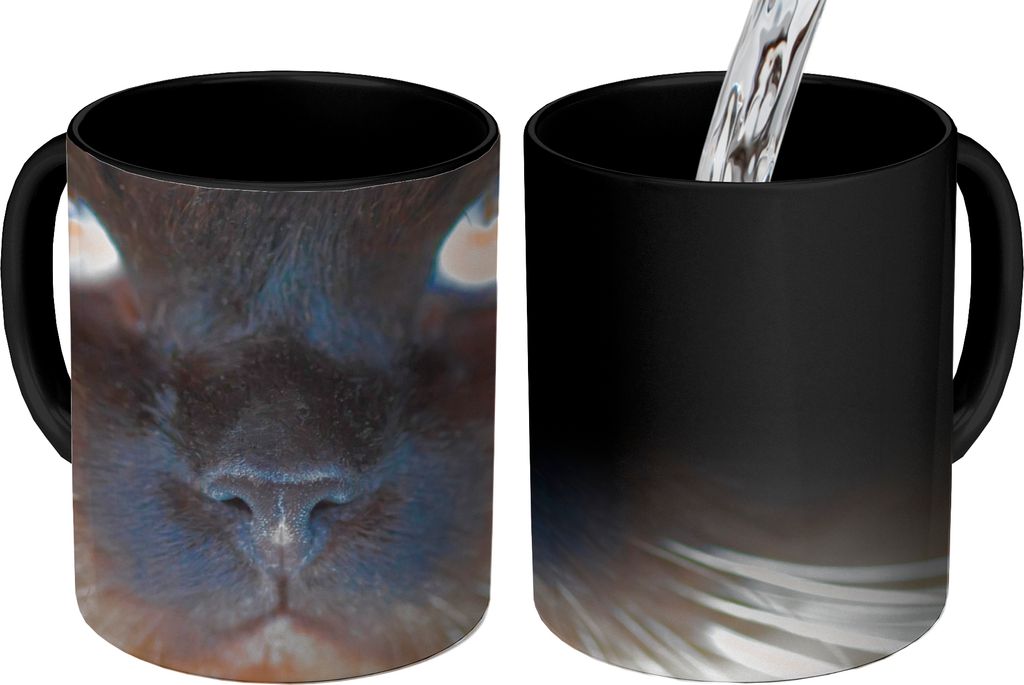 MuchoWow Zauber Tasse Zaubertasse Magic Nahaufnahme einer Siamkatze 350 ml Farbwechsel Becher Geschenk Geschenkidee - Magic-Tasse - Fototasse - K...