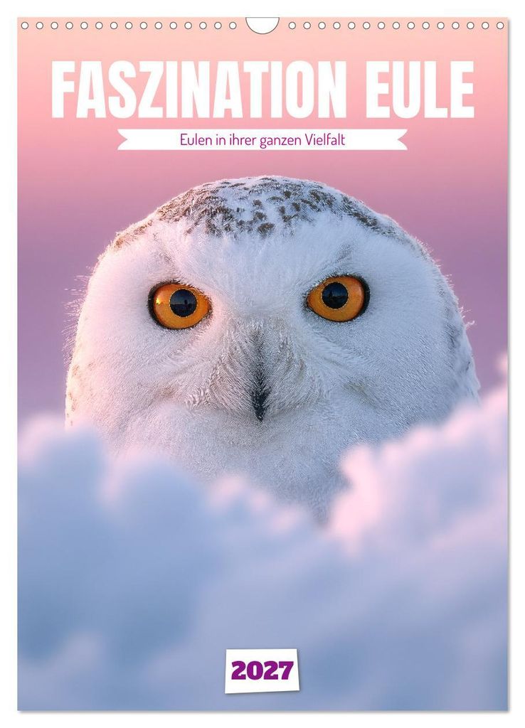 Faszination Eule - Eulen in ihrer ganzen Vielfalt (Wandkalender 2027 DIN A3 hoch), CALVENDO Monatskalender
