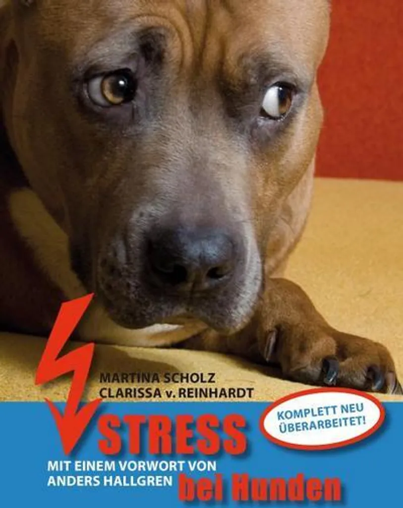 Anxiété chien traitement naturel contre les aboiements et le stress 60ml