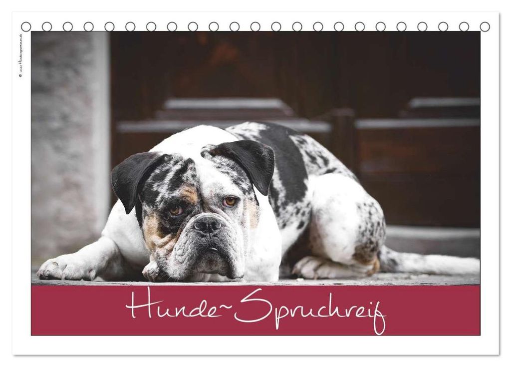 Hunde-Spruchreif (Tischkalender 2027 DIN A5 quer), CALVENDO Monatskalender