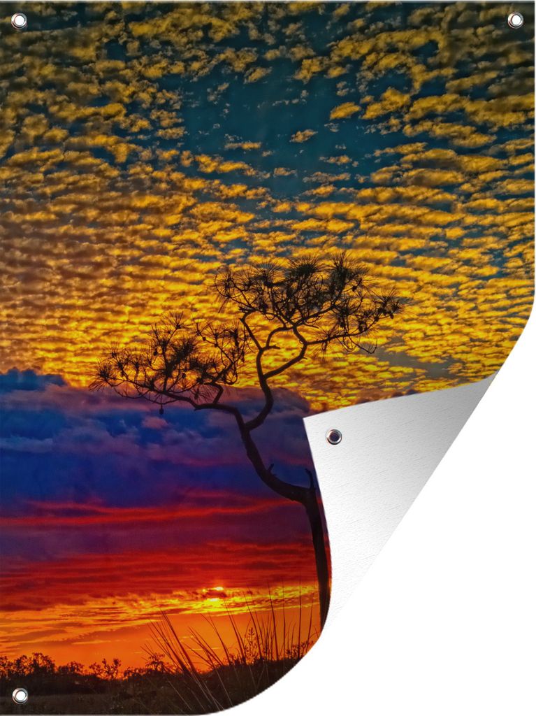 MuchoWow 60x80 cm Outdoor-Poster Gartendeko Sichtschutz Garten Poster für den Garten Farbenfroher Abendhimmel im Everglades-Nationalpark in Florida