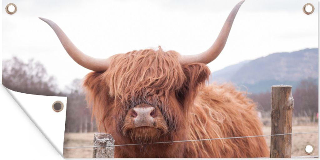 MuchoWow 80x40 cm Outdoor-Poster Gartendeko Sichtschutz Garten Poster für den Garten Scottish Highlander - Gras - Zaun