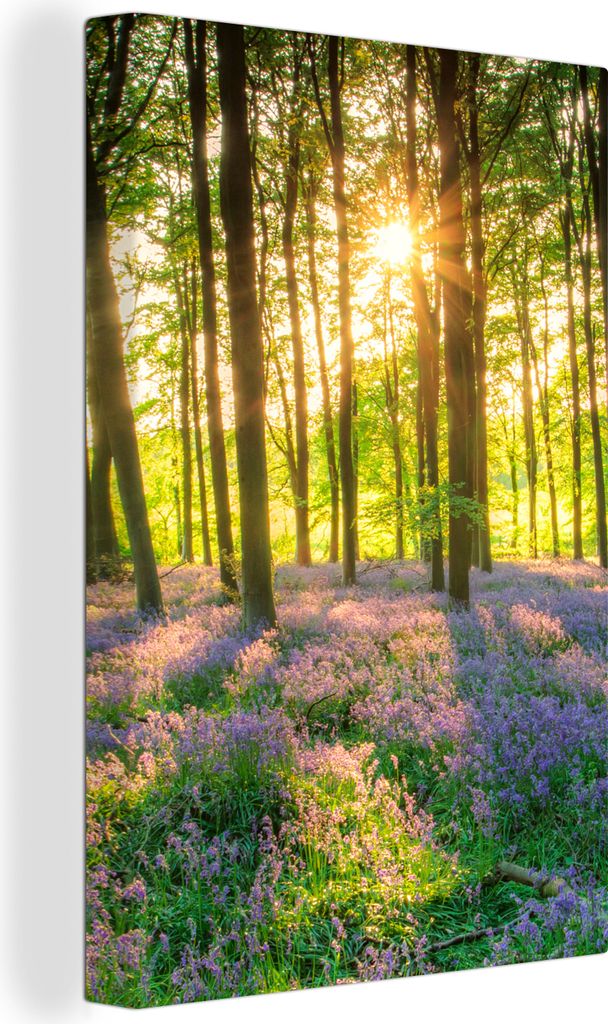 MuchoWow - Leinwandbilder - Frühling - Wald - Sonne, Wandbild, Wanddeko Bilder Wohnzimmer, 40x60 cm