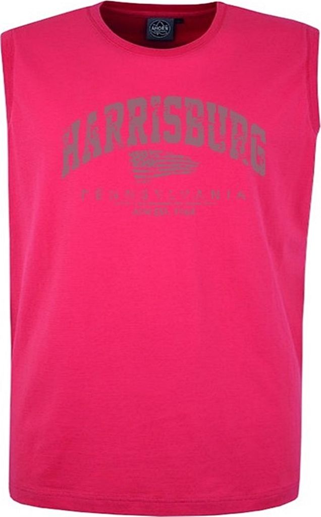 Übergrößen Tanktop Harrisburg Grau AHORN SPORTSWEAR Flame Produktbild 