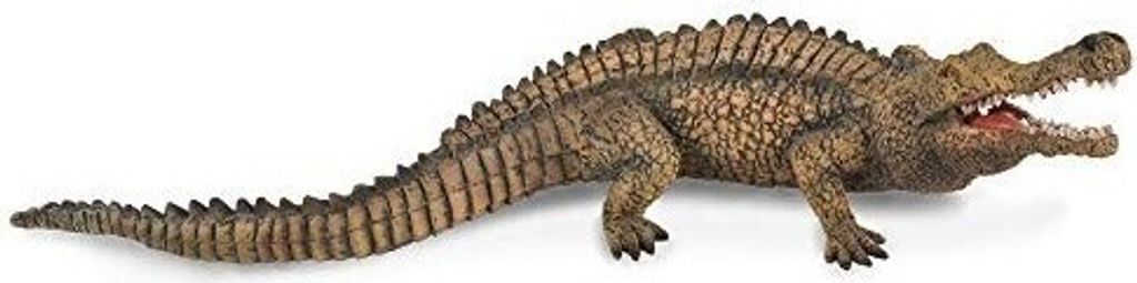Figúrka Collecta Sarcosuchus - vzdelávacia a interaktívna Obrázok produktu 