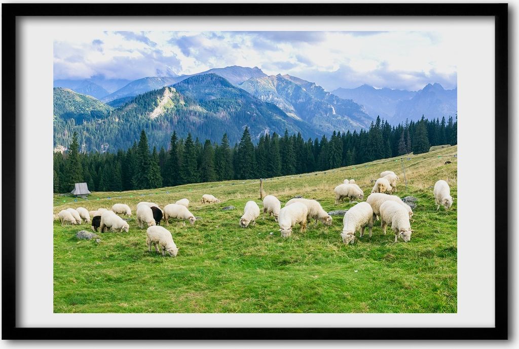 Bild 60x40 MDF-Rahmen, Wandkunst Schafe in der Hohen Tatra