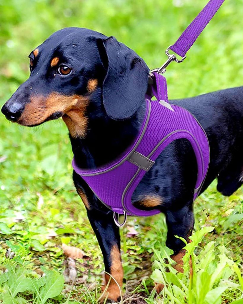 Hunde-Geschirr, reflektierendes weich gepolstertes Hundegeschirr, luftdurchlässiges atmungsaktives Brustgeschirr für kleine und mittelgroße Hund...