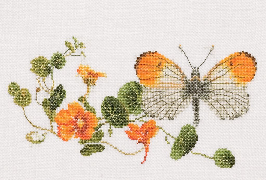 Thea Gouverneur Kreuzstich Stickpackung "Schmetterlings-Kapuzinerkresse Aida", Zählmuster, 29x18cm