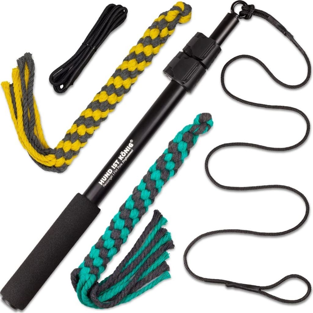HUND IST KÖNIG Reizangel Hunde | Reizangel für Hunde für Spielspaß & körperliche Auslastung (Reizangel 102 cm + Seile 110 cm)