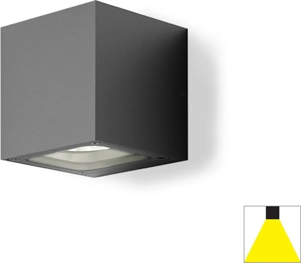 Applique d'extérieur LED TOMY anthracite 4,5W éclairage unidirectionnel