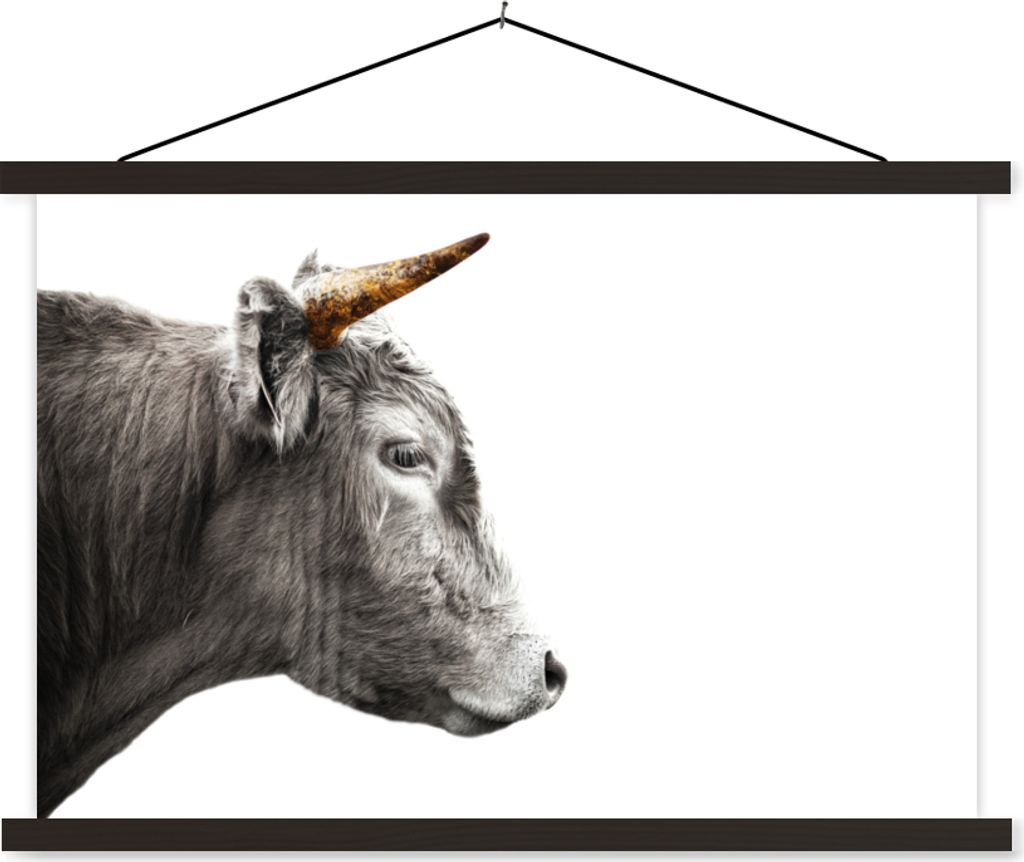 MuchoWow Textilposter Schottisches Hochlandrind - Tiere - Horn - Gold 60x40 cm mit schwarzem Rahmen - Hölzernes