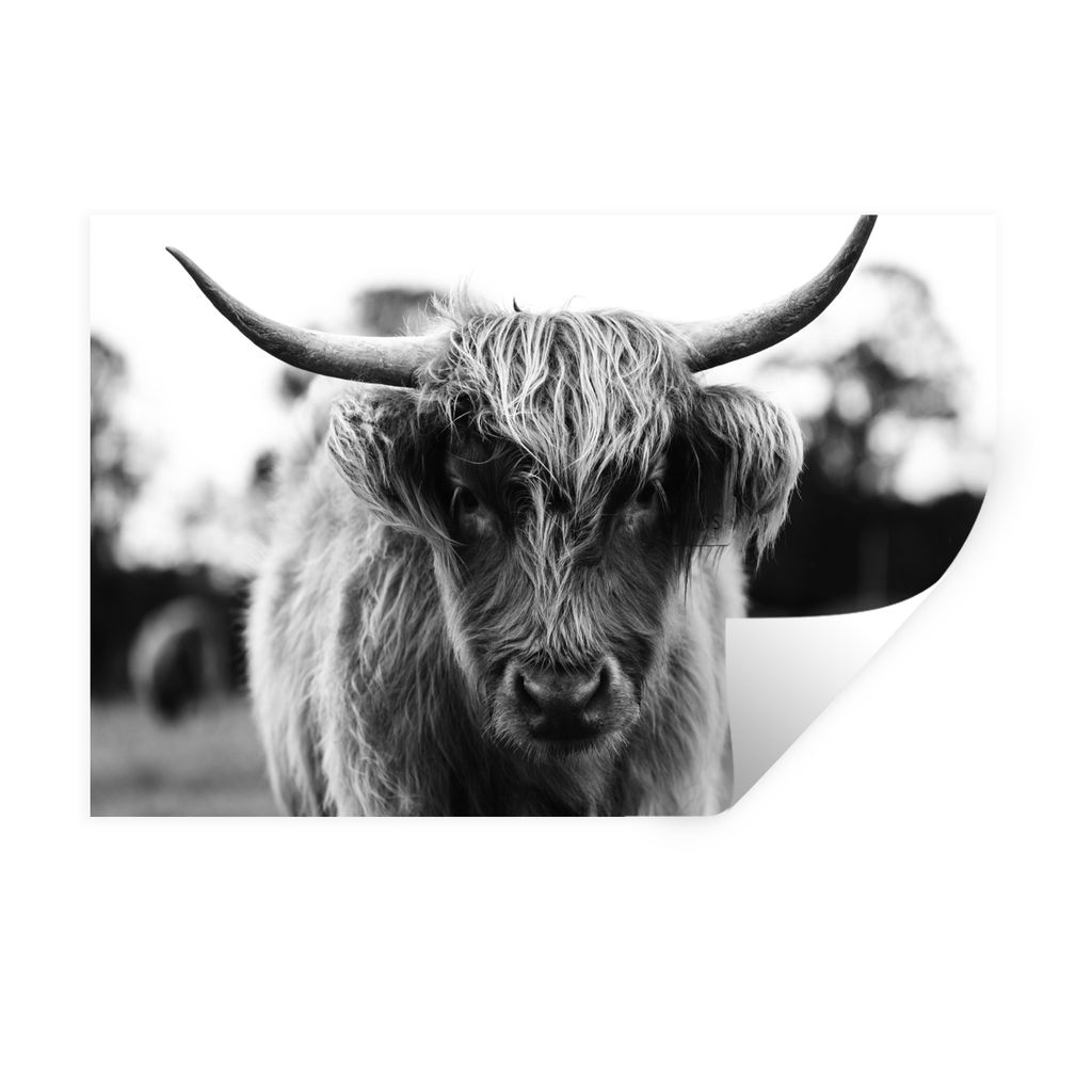 MuchoWow Wandtattoo Wandsticker Wandaufkleber Schottischer Highlander - Kuh - Gras - Tiere - Natur 30x20 cm Selbstklebend und Repositionierbar - ...