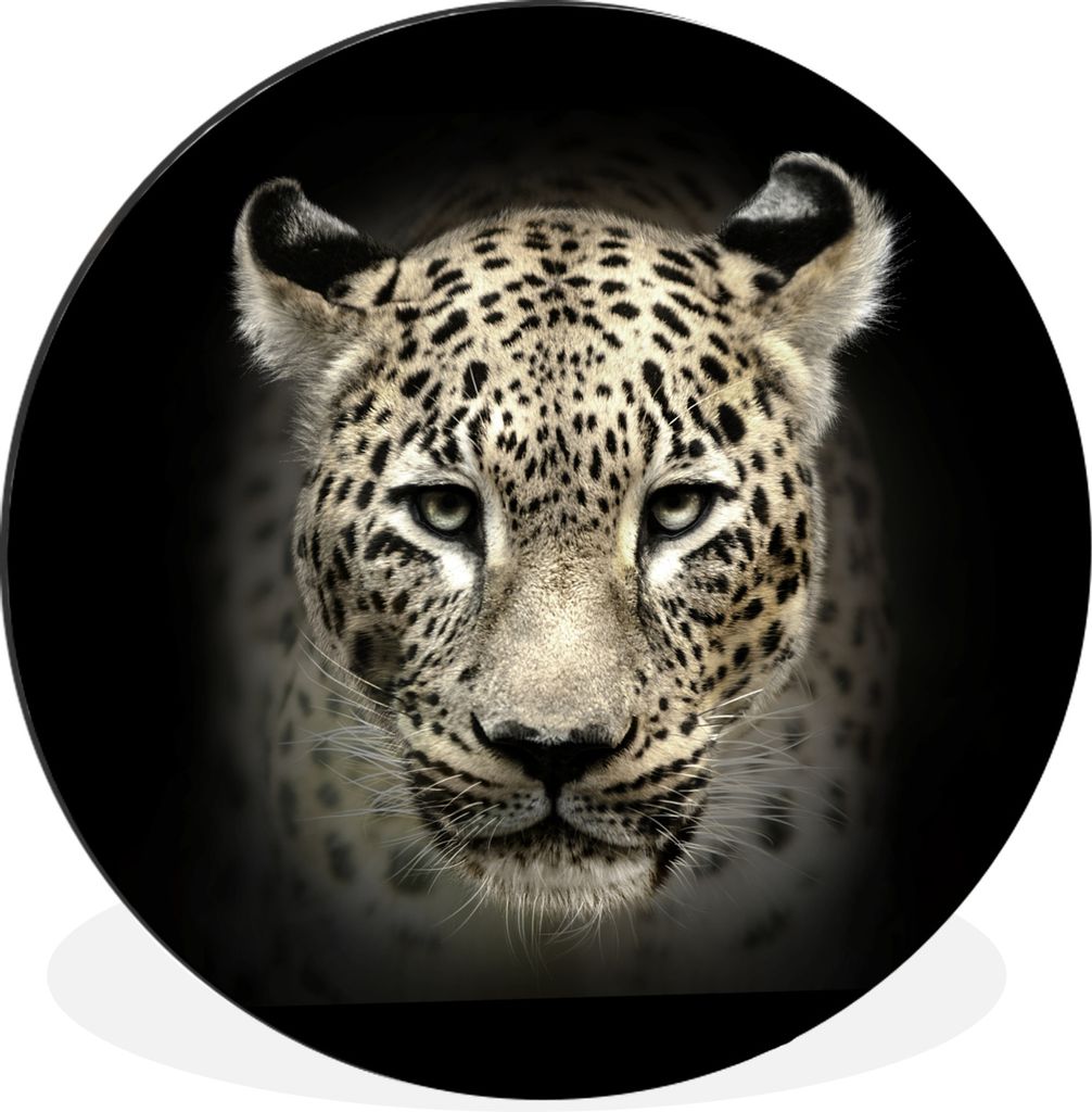 MuchoWow - Wand Kreis - Wandbild - Schlafzimmer - Aluminium Bild - Kinderzimmer - Wohnzimmer Dekoration - Wandschmuck