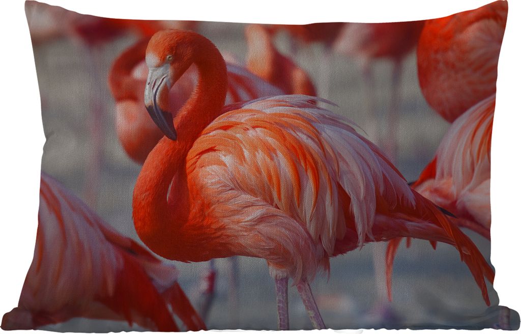 MuchoWow Outdoor Kissen - Flamingo - Vogel - Tiere - Rosa - 50x30 cm - Wetterfest - Lounge Kissen - Sofa kissen - Wohnzimmer Dekoration