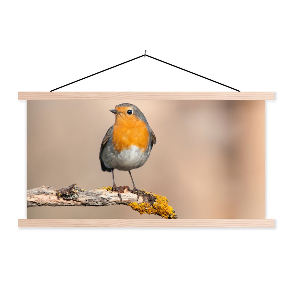 MuchoWow Textilposter Rotkehlchen - Vogel - Zweig - Tiere 120x60 cm mit holzfarbenen Rahmen - Klemmleiste