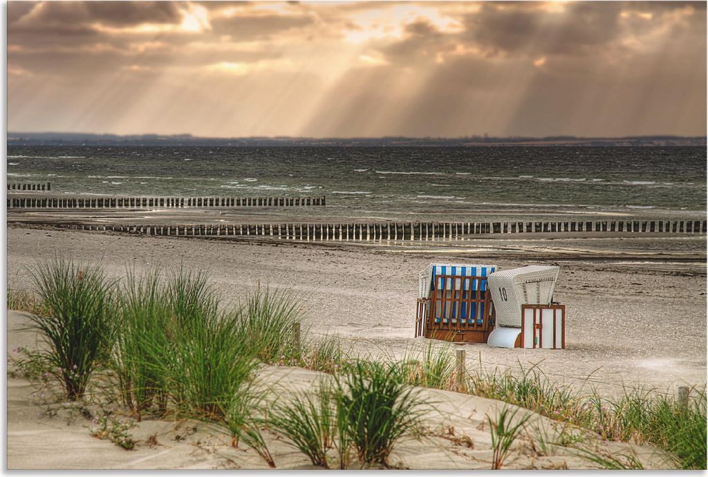 ARTland Wandbild Alu für Innen & Outdoor Schwarzer Busch Strand auf Insel Poel Größe: 120x80 cm