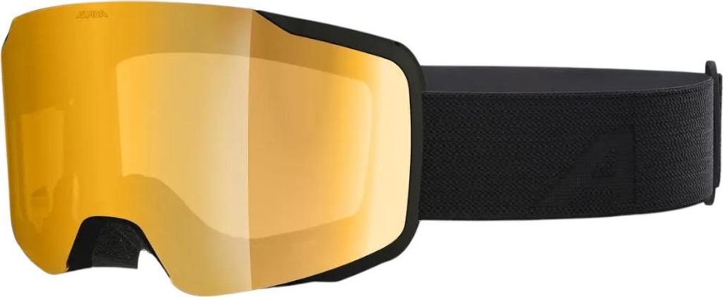 ALPINA Taos QV Skibrille schwarz