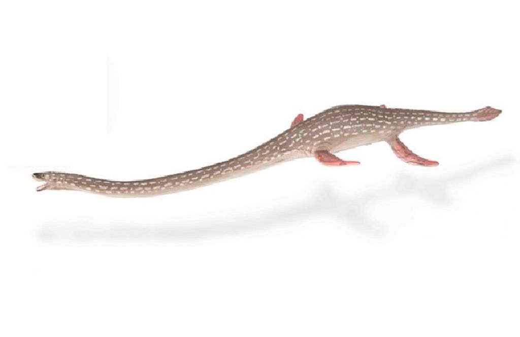 Collecta 88922 Dinosauro Elasmosaurus 23 cm Immagine del prodotto 
