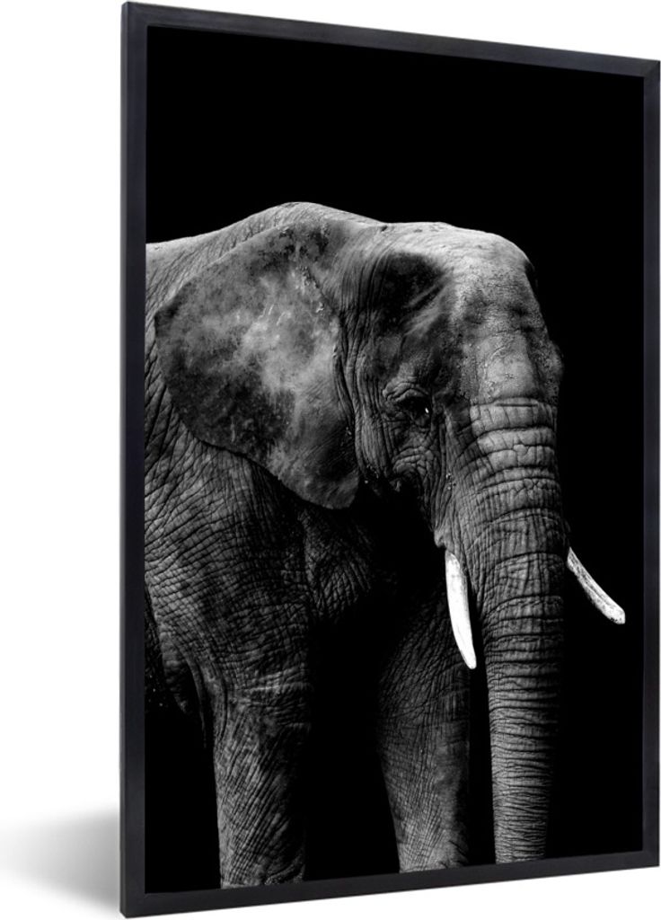 MuchoWow Gerahmtes Poster Elefant mit vor schwarzem Hintergrund - schwarz und weiß 20x30 cm - Poster mit Schwarzem Bilderrahmen Wandposter Rahme...