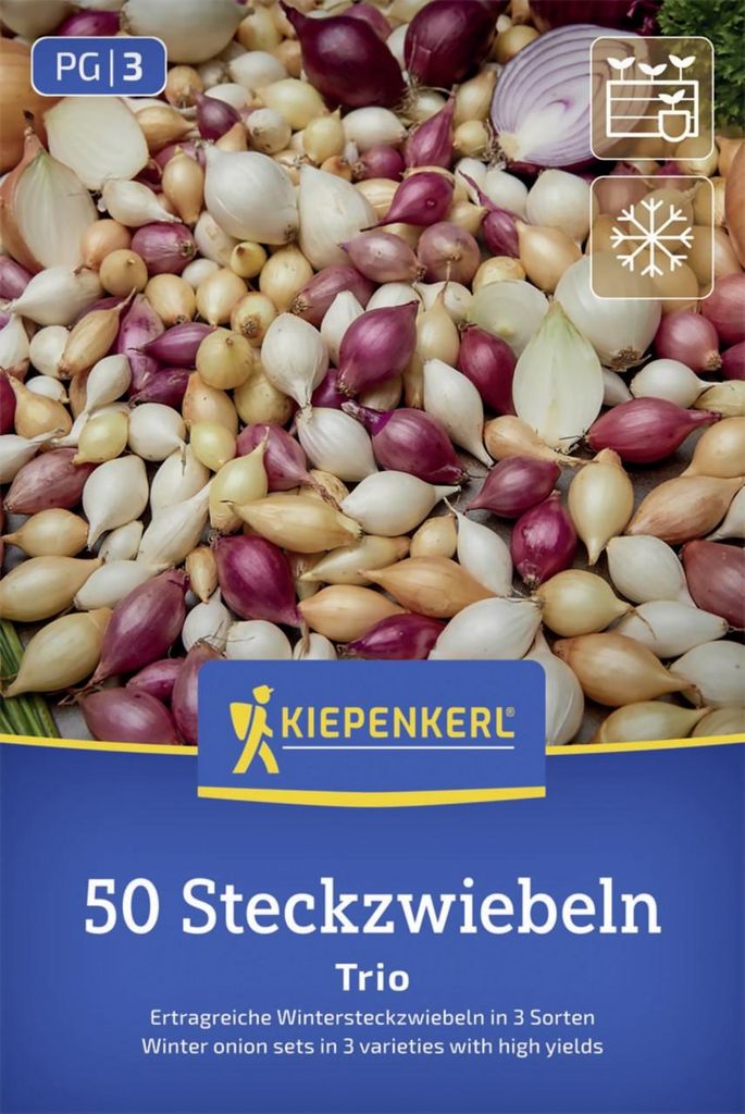 Kiepenkerl Wintersteckzwiebel Trio-Mix 50 Stück Produktbild 