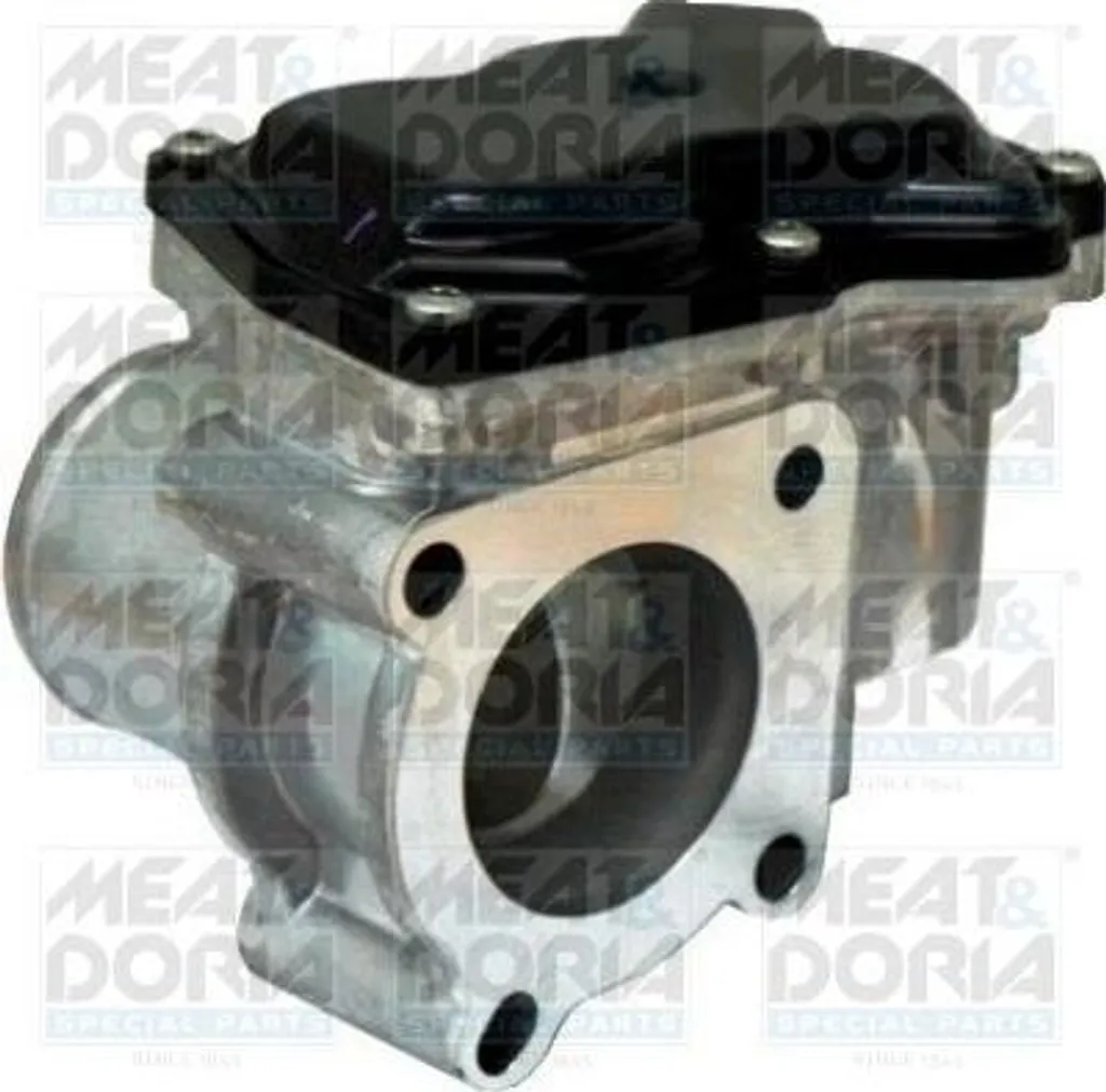Solution voyant injection : Boîtier papillon 4420714 Scenic et Megane