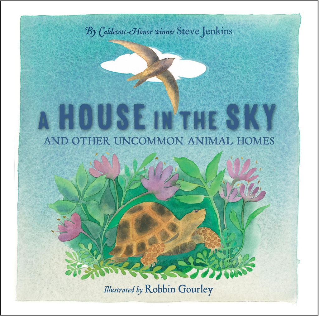 A House in the Sky