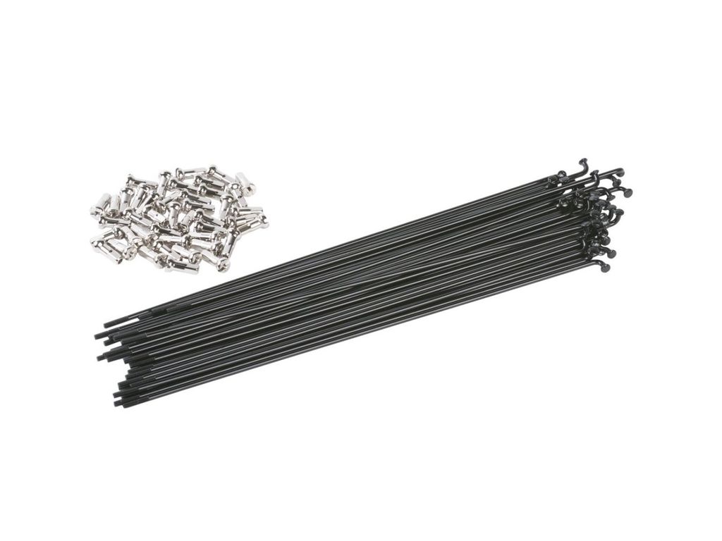 Odyssey J-bend 2.0 Speichen 40 Einheiten Golden 186 mm Golden 186 mm