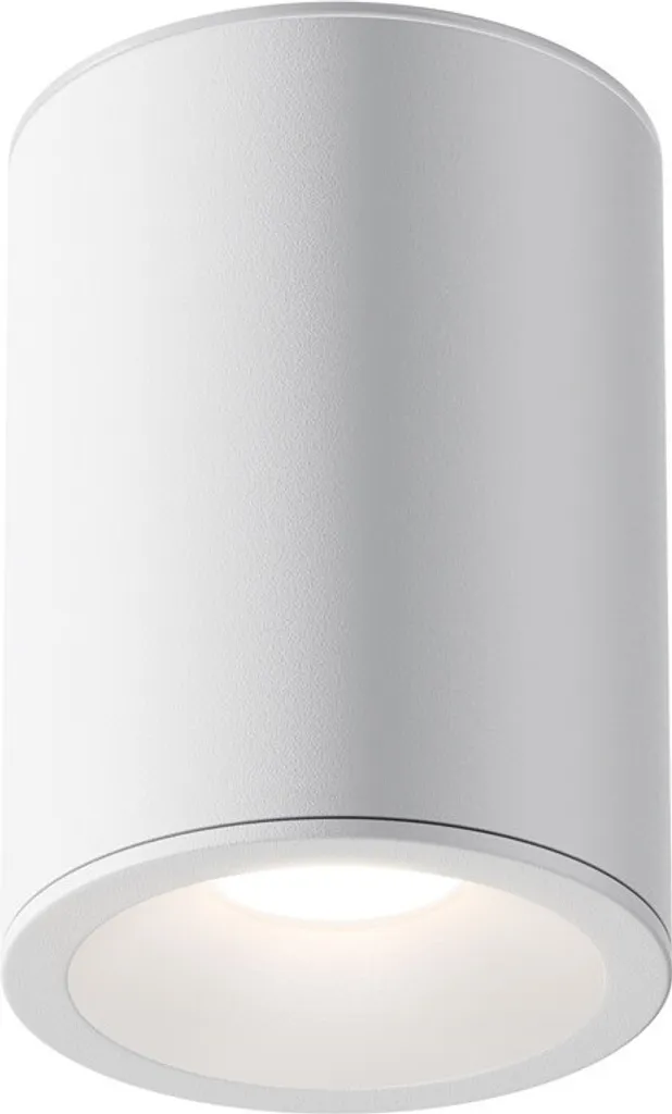 Plafonnier Zoom Orientable Maytoni Technical C029CL-01W Aluminium Blanc