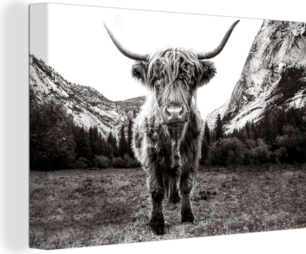 OneMillionCanvasses - Leinwandbilder - 150x100 cm, Berg - Schwarz - Weiß - Schottisches Hochlandrind, Wandbilder Wohnzimmer Hochland Rind - Tier...