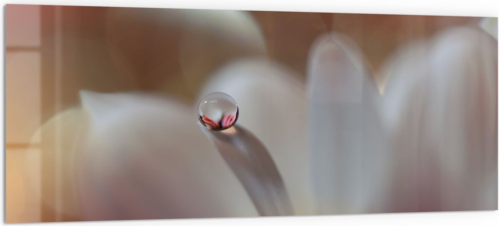 DEQORI Küchenrückwand Glas 125x50 cm 'Tropfen der Stille' Spritzschutz Bad Rückwand Küche