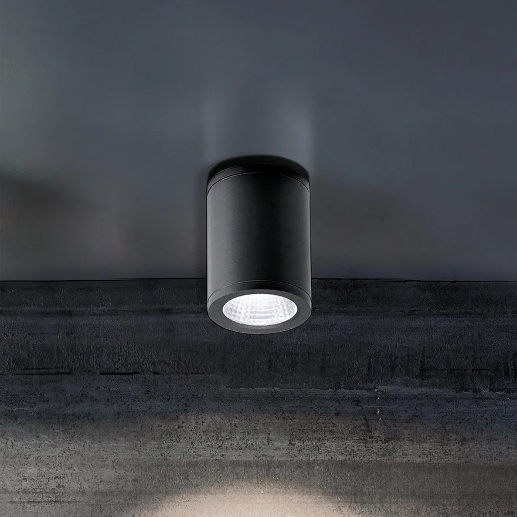 Plafonnier LED étanche IP54 anti-corrosion gris foncé en aluminium