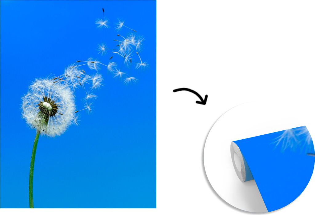 MuchoWow Fototapete für Wohnzimmer oder Schlafzimmer Wandtapete Vinyl Motivtapete Löwenzahnsamen verwehen im blauen Himmel - 220x260 cm - Vinyl...